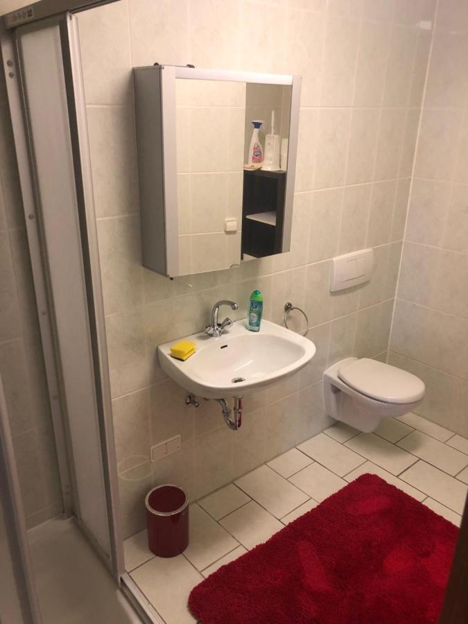 1-Zimmer Apartment, 45 Qm, Im Weinort Neustadt-Duttweiler Neustadt an der Weinstraße Esterno foto