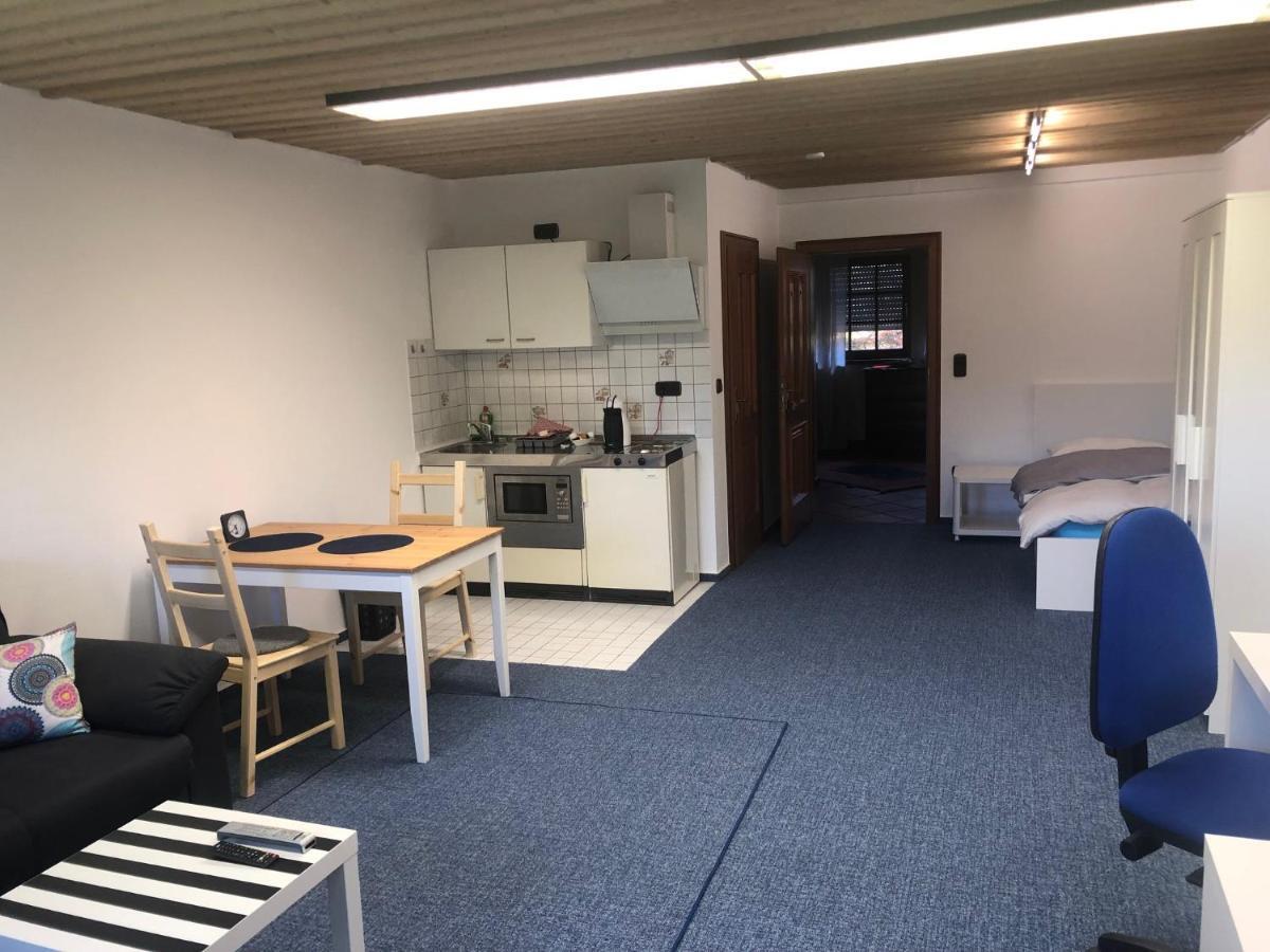 1-Zimmer Apartment, 45 Qm, Im Weinort Neustadt-Duttweiler Neustadt an der Weinstraße Esterno foto