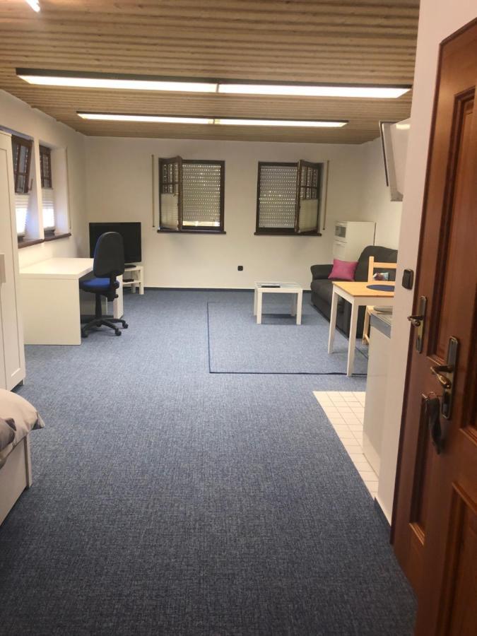 1-Zimmer Apartment, 45 Qm, Im Weinort Neustadt-Duttweiler Neustadt an der Weinstraße Esterno foto