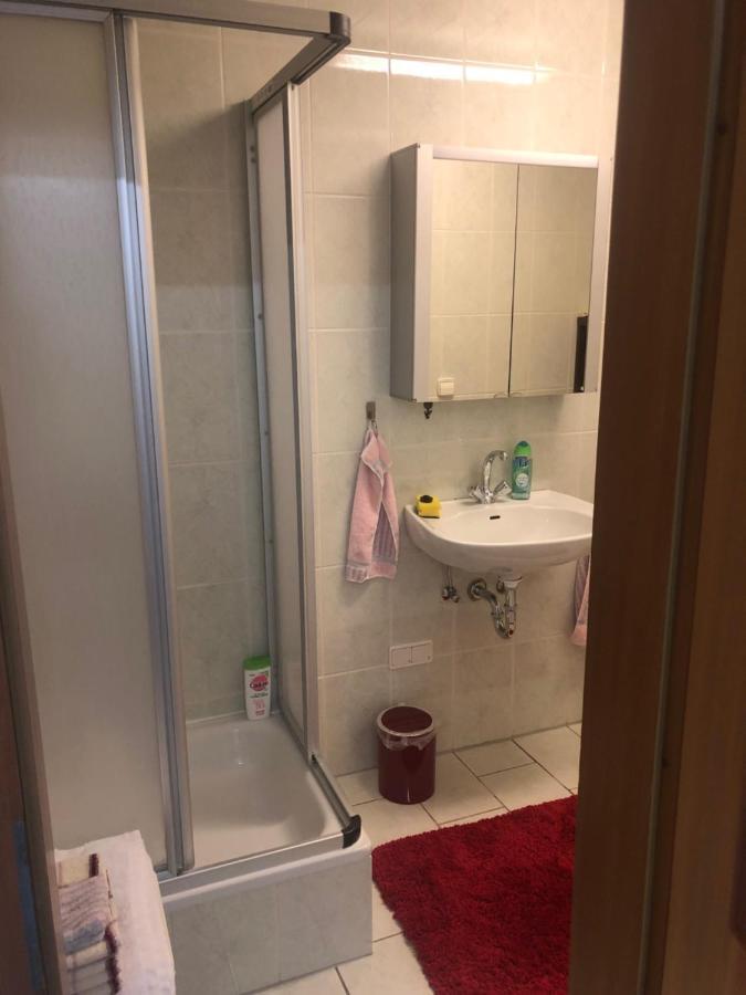 1-Zimmer Apartment, 45 Qm, Im Weinort Neustadt-Duttweiler Neustadt an der Weinstraße Esterno foto