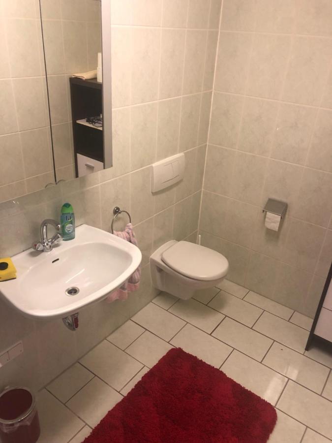1-Zimmer Apartment, 45 Qm, Im Weinort Neustadt-Duttweiler Neustadt an der Weinstraße Esterno foto